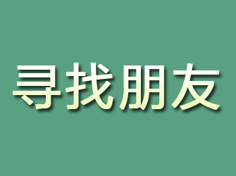 大新寻找朋友